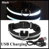 LED Glowing Dog Collars Rechargeable